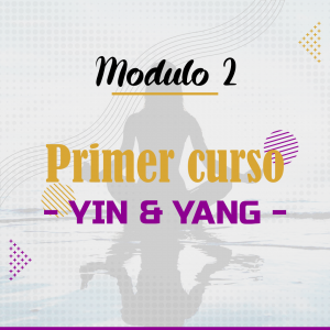 Módulo 2: Yin-Yang