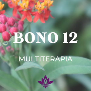 Bono 12 sesiones multiterapia